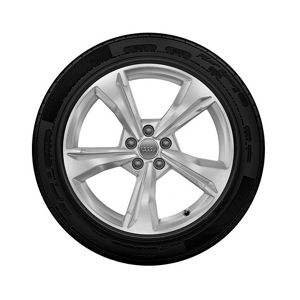5-spoke dynamic design, brilliant silver, for the Audi Q5.