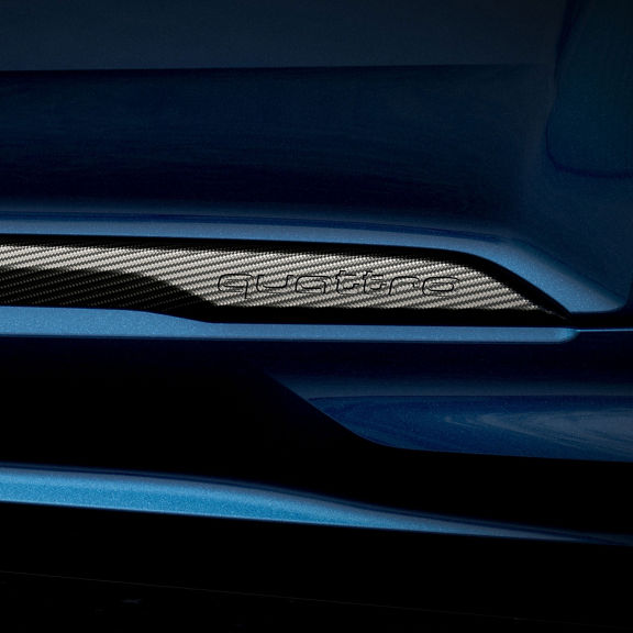 Close up of side sill inlays on the Audi SQ7.