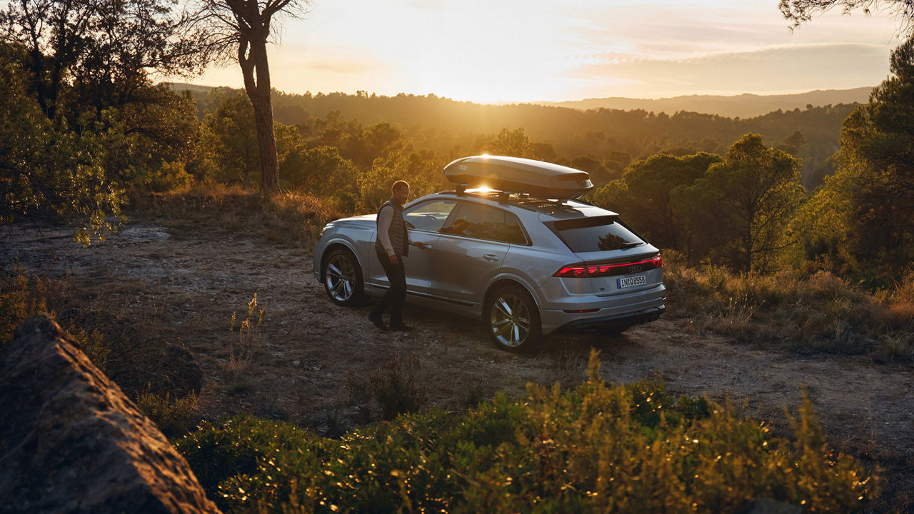 Profil arrière trois-quarts de l'Audi Q5. 