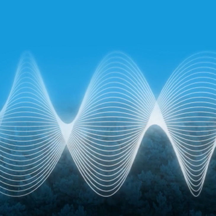 Video displaying the frequency of sound.