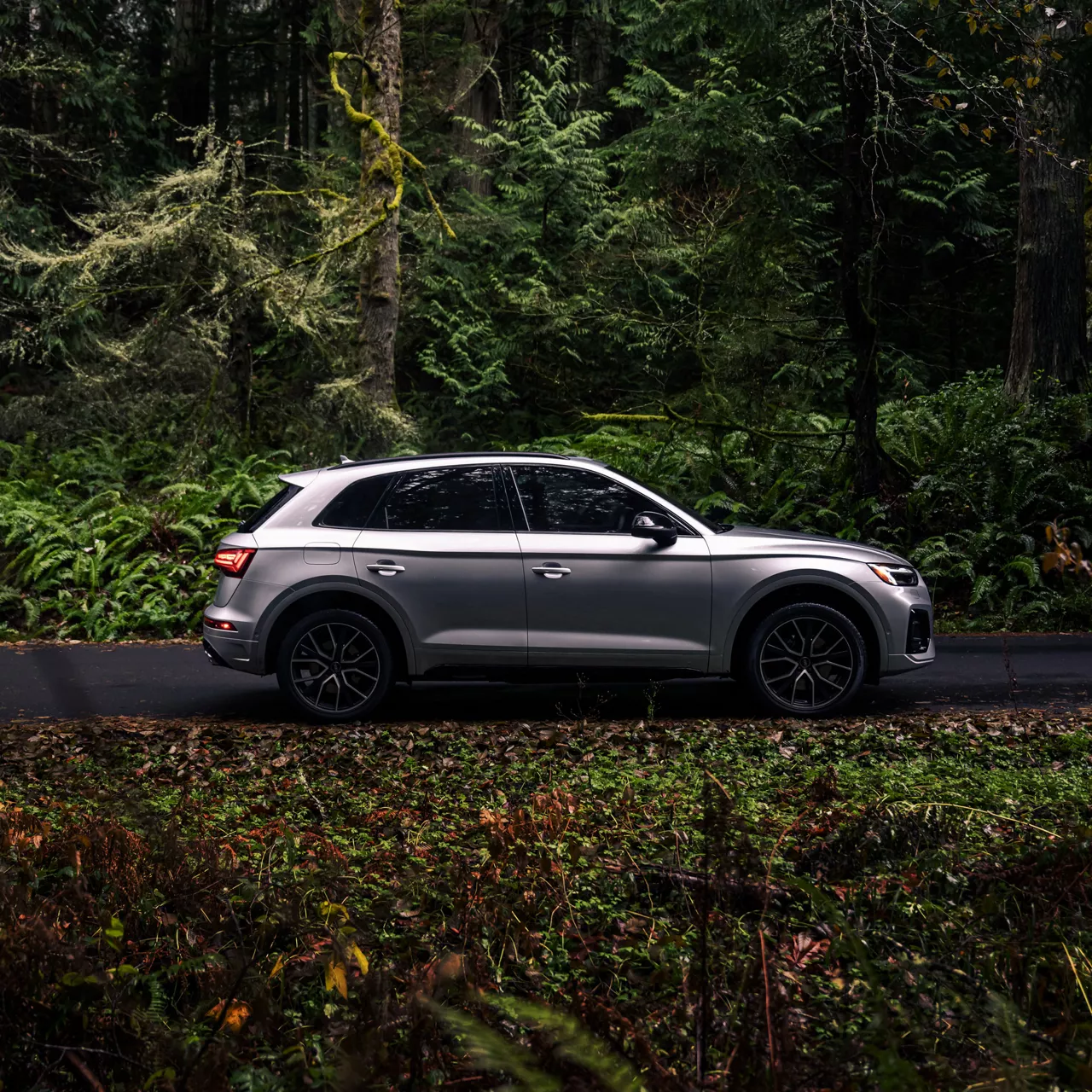 Side profile of a silver Audi SQ5 driving on a forested road. 