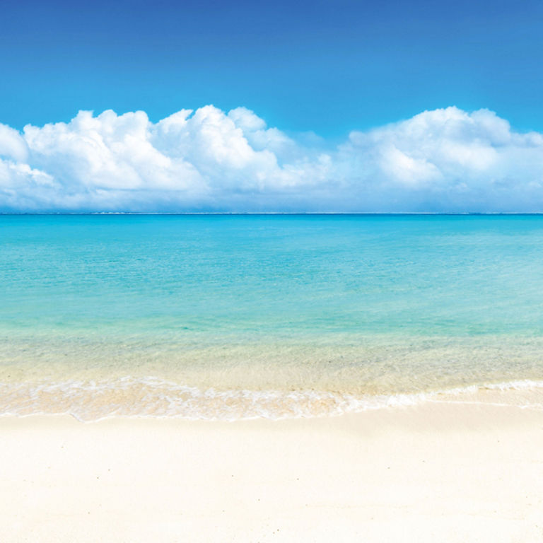 Une plage des Caraïbes par une journée ensoleillée.