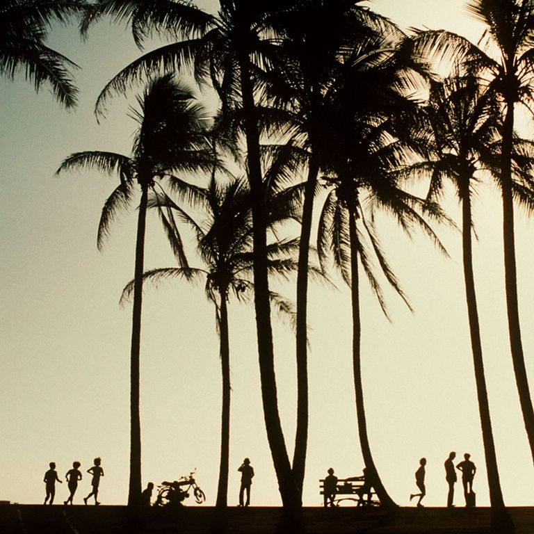 Un ensemble de silhouettes de palmiers devant un soleil couchant avec des ombres de gens au premier plan.