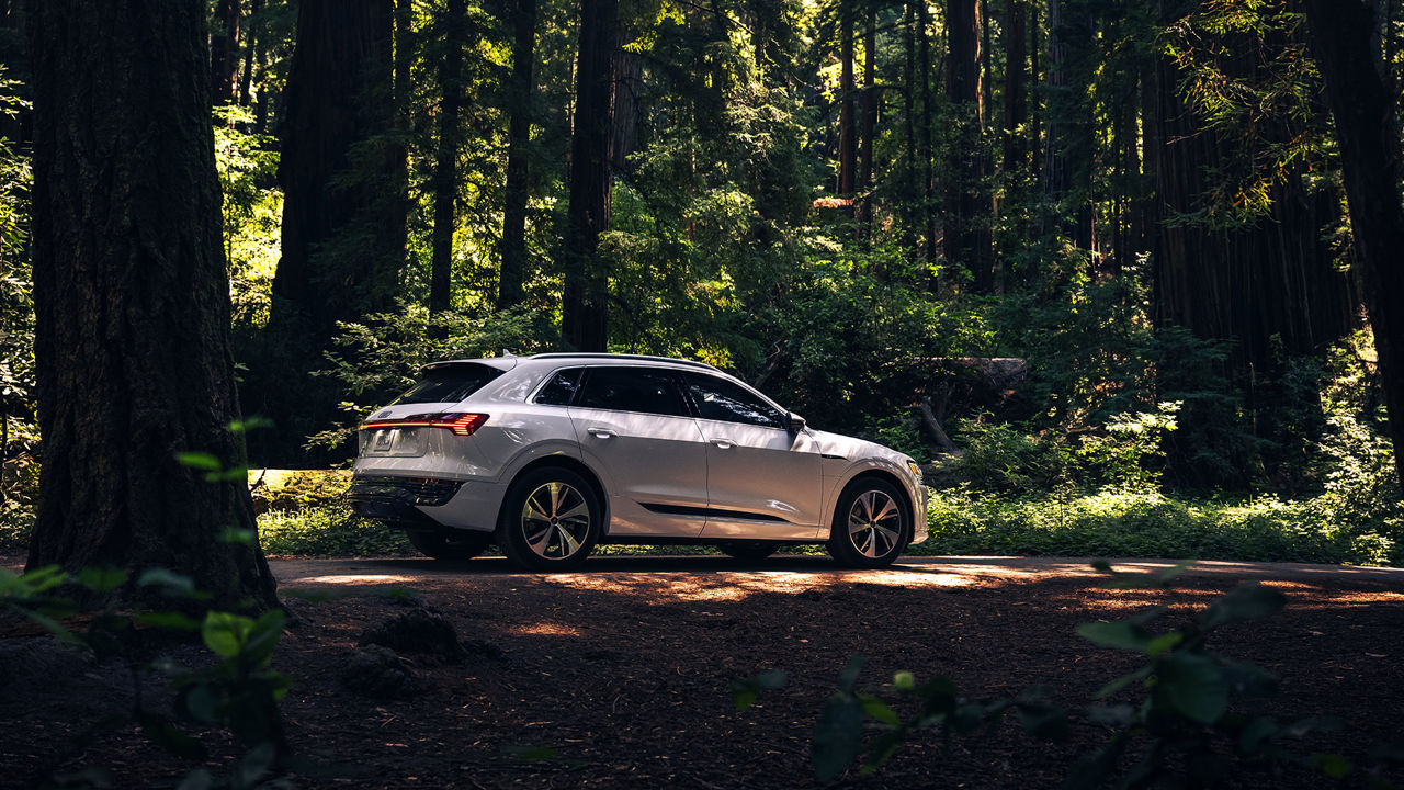 Side view of an Audi Q8 e-tron parked in the forest. 