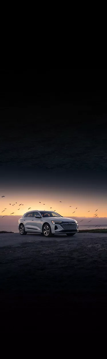 Three-quarter front view of a white Audi Q8 parked in front of a waterfront sunset, a flock of gulls overhead. 