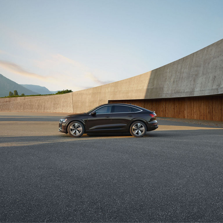 Side profile of the Audi Q8 e-tron® Sportback parked.