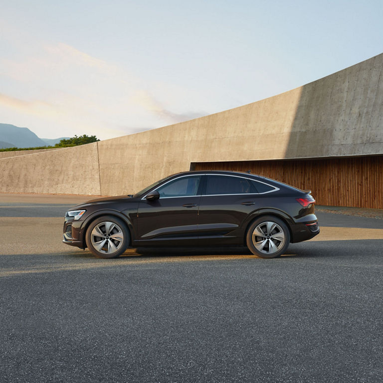 Side profile of the Audi Q8 e-tron® Sportback.