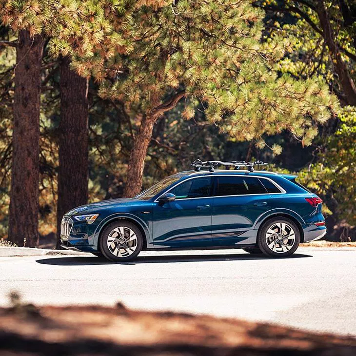 Side profile of the Audi e-tron® parked.