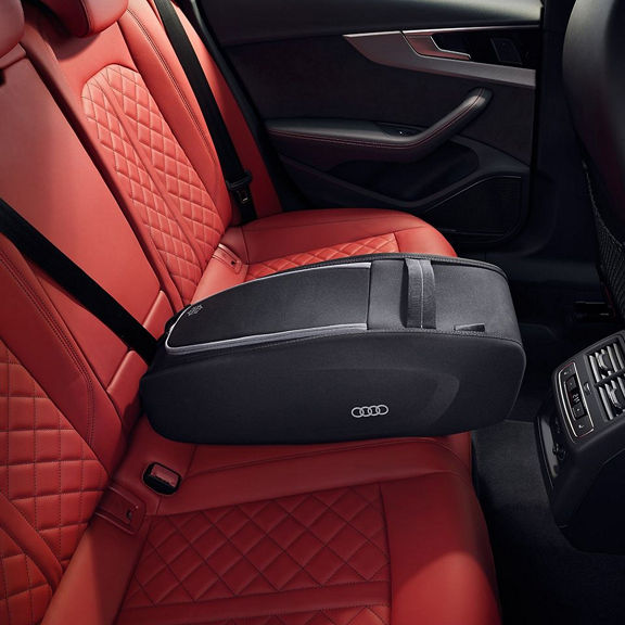 Audi A4 cargo organizer.