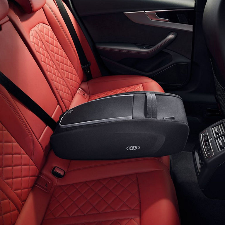 Audi A4 cargo organizer.