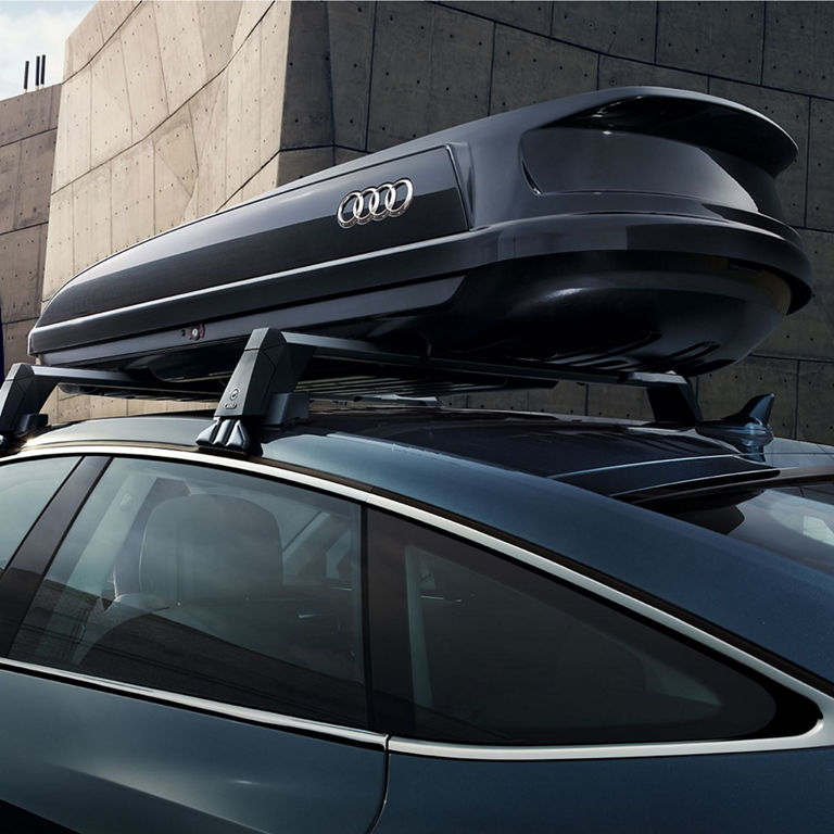 Audi A7 rooftop attachments.