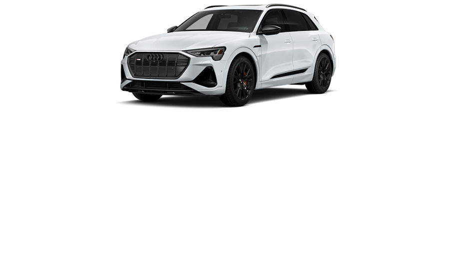 Audi e-tron family.