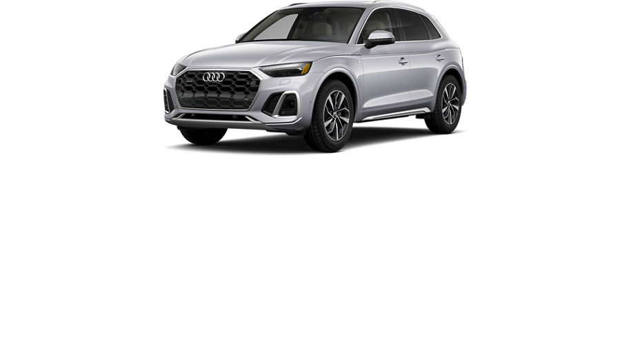 Audi Q5 family.