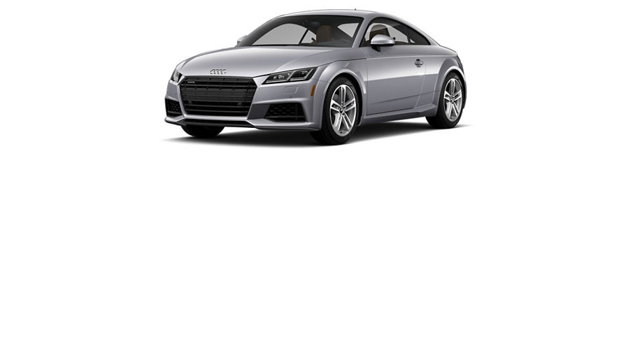 Audi TT family.