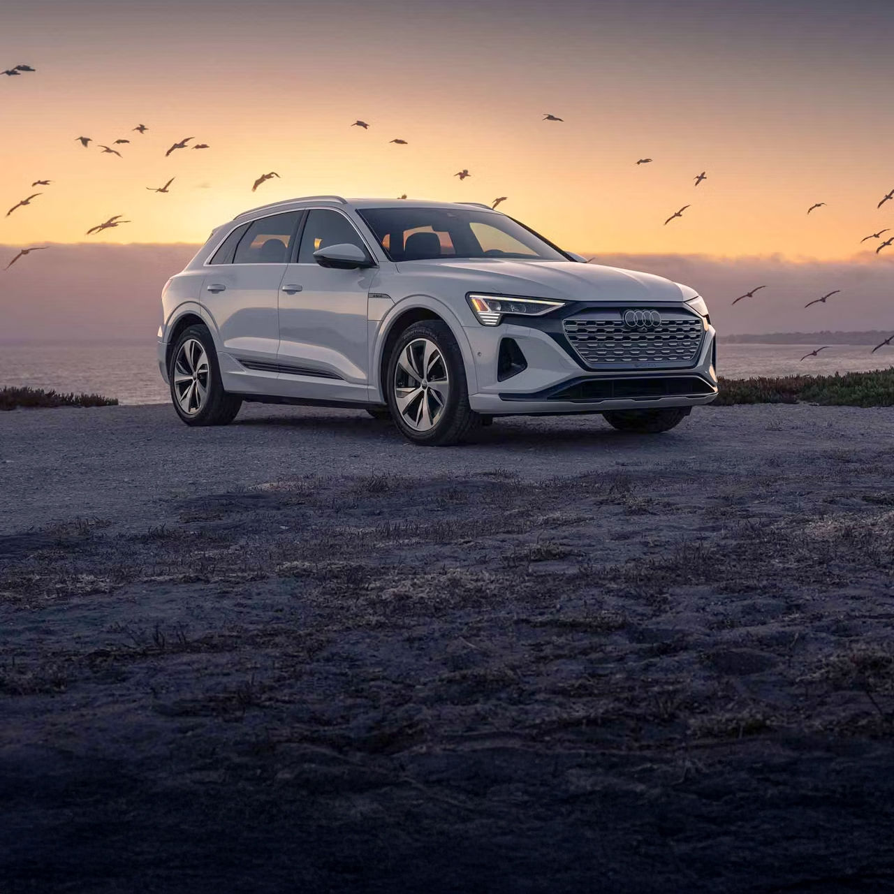 Right profile view of an Audi Q8 e-tron parked.