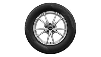 Audi Tire - A5 17" B10 WINTER TIRE PACKAGE
