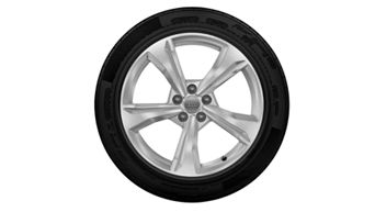 Audi Tires - Q5/SQ5 19" B9 WINTER TIRE PACKAGE