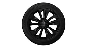 Audi Tires - Q6 20" WINTER TIRE PACKAGE
