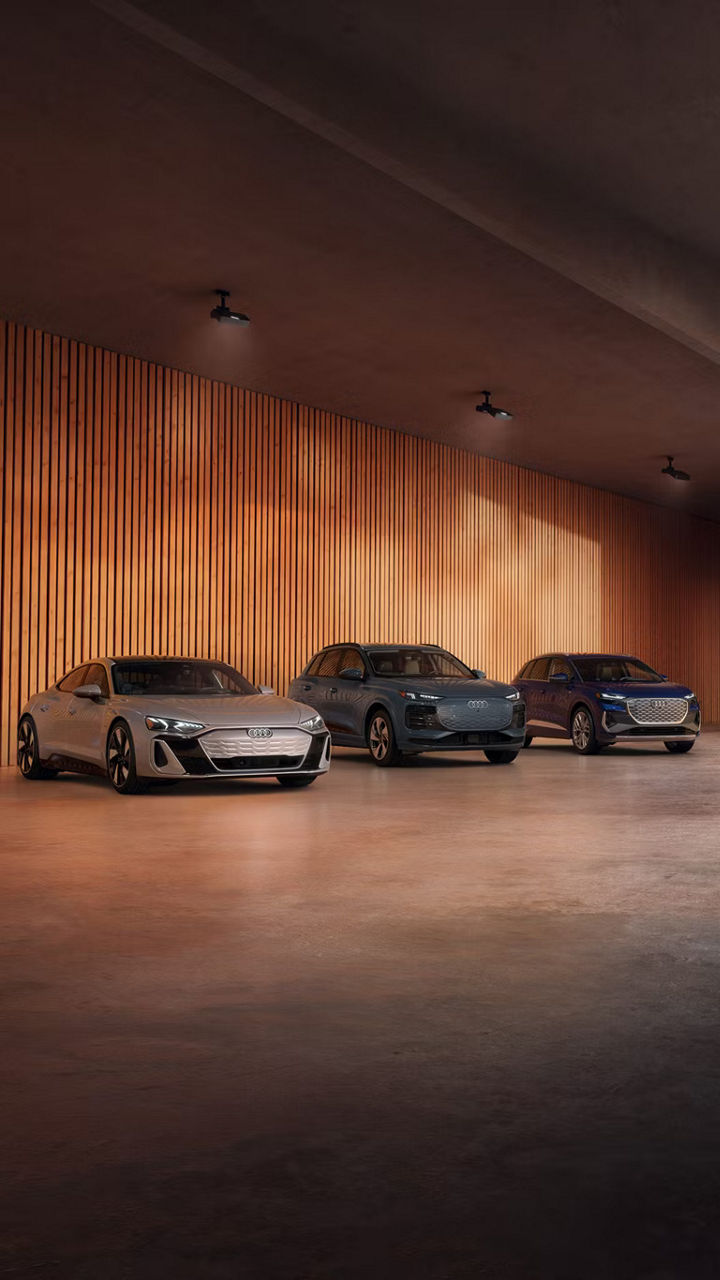 Audi e-tron lineup 
