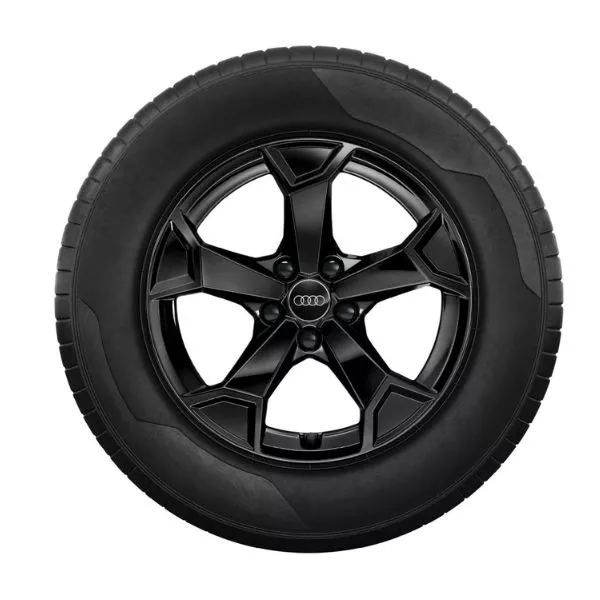 Image of an Audi Q3 Winter Rim and Tire