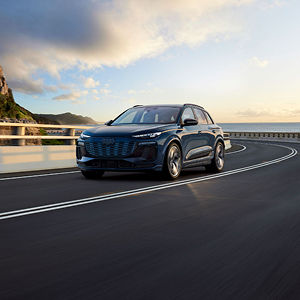 Audi Q6.