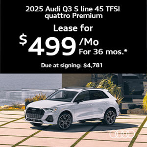 Audi Q3 parked by cliff