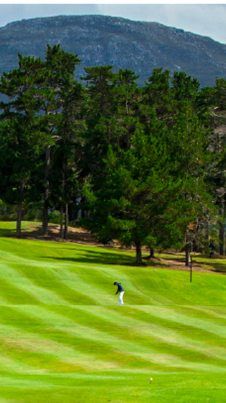 Golf Landscape