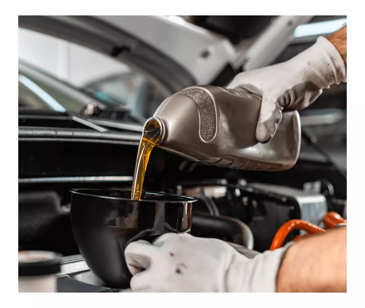 Types of Oil Services Offered at Audi Indianapolis Near Fisher, IN