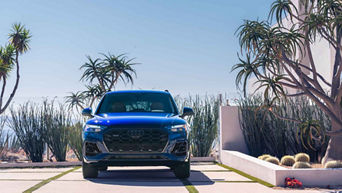 Front view of an Audi Q5 parked near vegetation