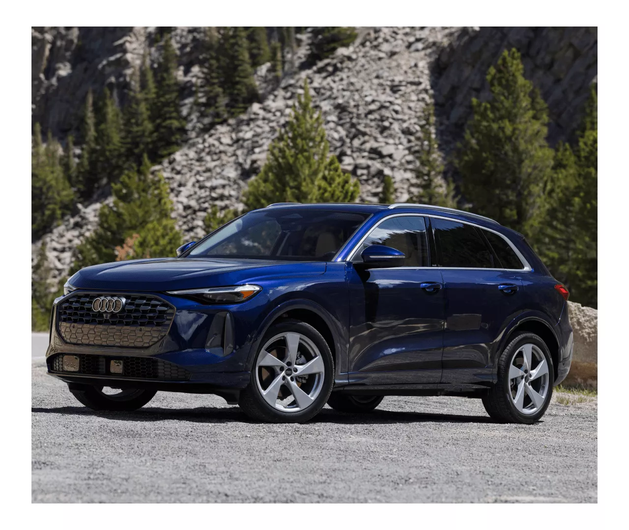 New Audi Vehicle Sparkle in the South Florida Sunshine