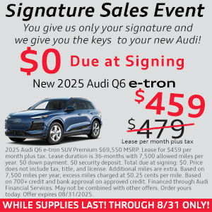 Q6 e-tron