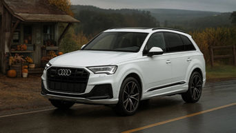 2025 Audi Q8 55
