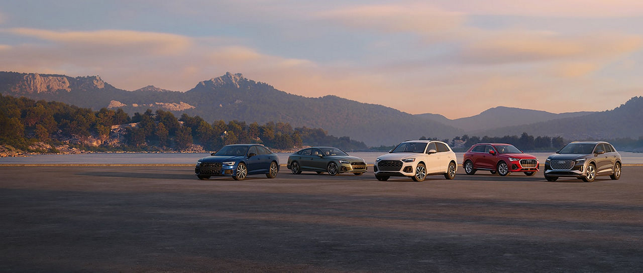 All Audi cars family in single hill frame.