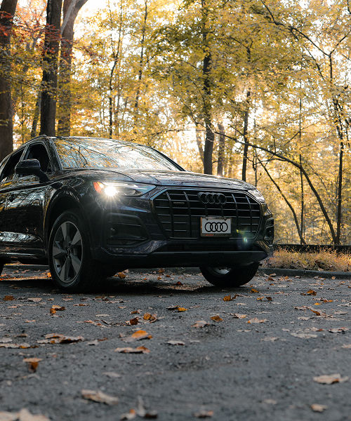 Left profile view of an Audi Q7 parked.