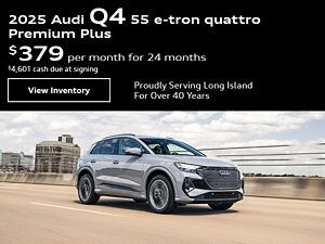 Q5 e-tron on highway