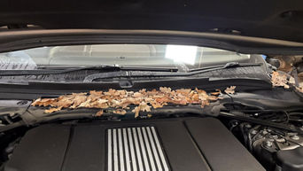 Audi sunroof cleaning.