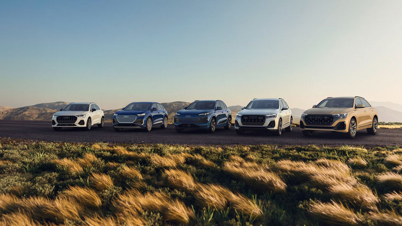 Image of a lineup of Audi cars parked on a road in some grasslands
