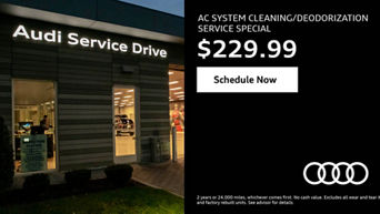 AC SYSTEM CLEANING/DEODORIZATION SERVICE SPECIAL