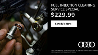Fuel Injection Cleaning Service Special