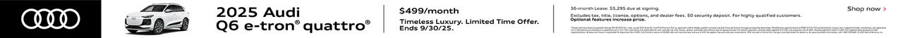 Q6 e-tron Lease Pencil Banner