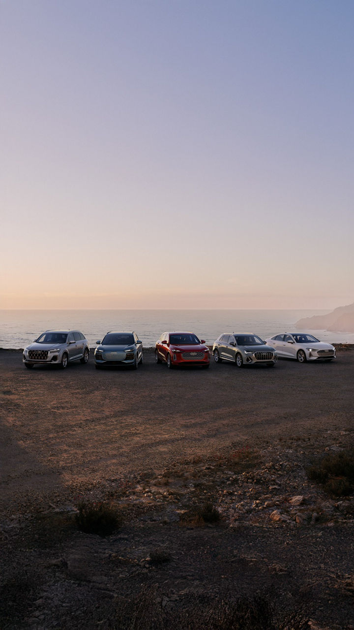 Audi 2025 Audi Q6 e-tron left profile driving.