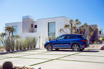 Q5 Parked Modern Home with Palms