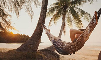 Image of hammock and palms.