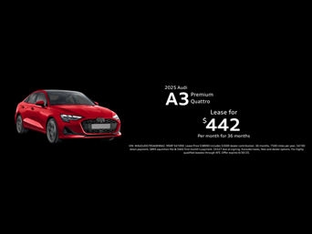 A3