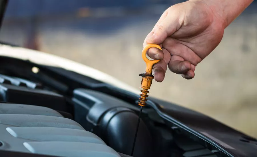 Audi Oil Change