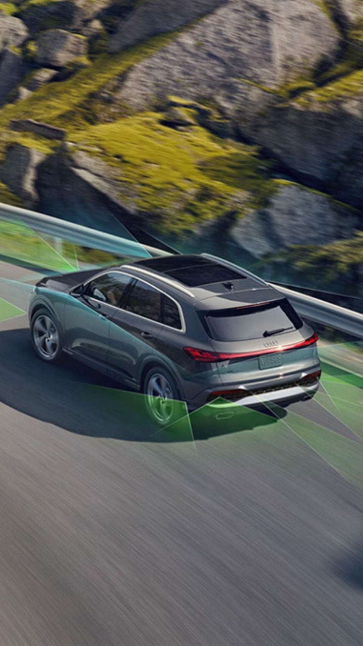 Safety & Driver Assistance