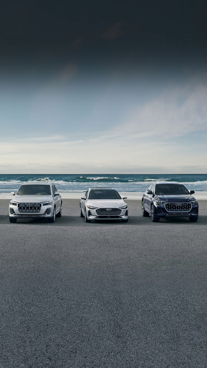 Audi 2025 Audi Q6 e-tron left profile driving.