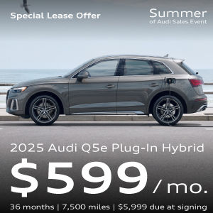 Q5 hybrid plugged in near a beach