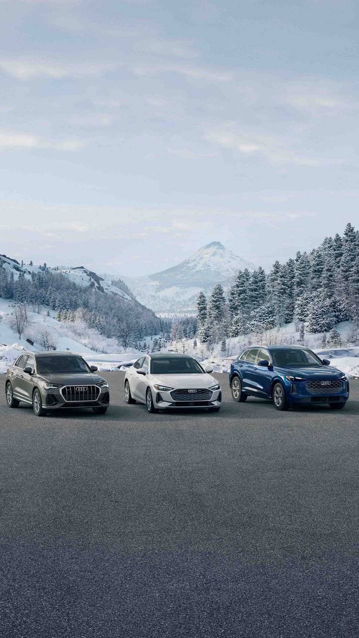 Five new Audi vehicles lined up, facing front behind a backdrop of snow-covered mountains.