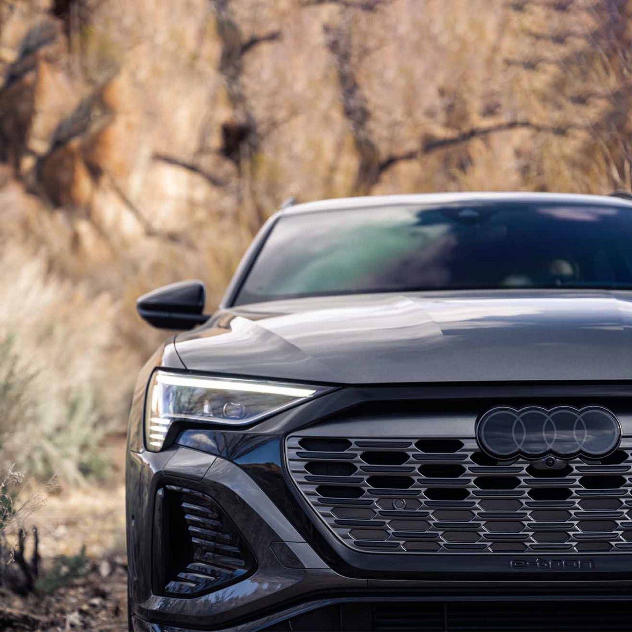 Front profile view of an Audi Q8.
